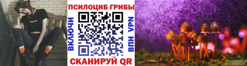 Галлюциногенные грибы Magic Shrooms  Купить где  Волосово 